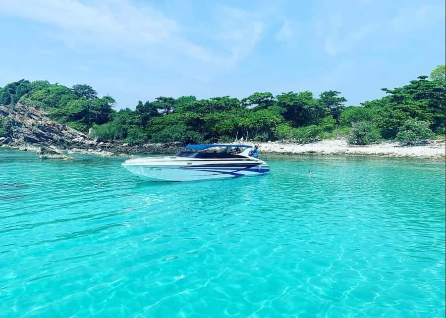 Ko Samui: Pig Island Snorkeling and Koh Tan Speedboat Tour - The appeal of Pig Island from Koh Samui