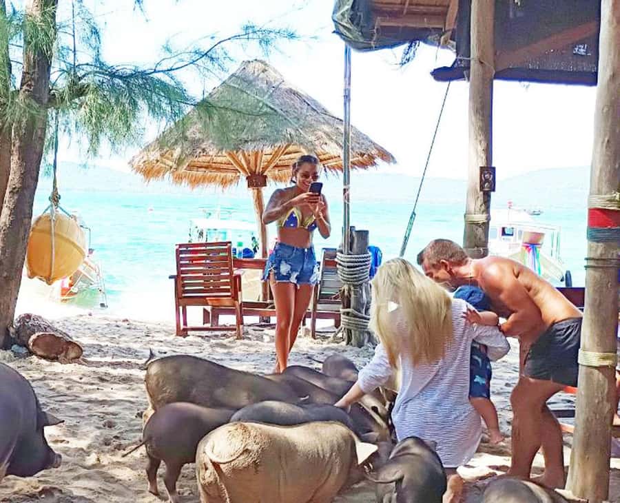 Ko Samui: Pig Island Snorkeling and Koh Tan Speedboat Tour - Thai lunch on the beach