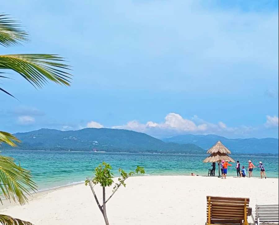 Ko Samui: Pig Island Snorkeling and Koh Tan Speedboat Tour - What the $51 price really buys you