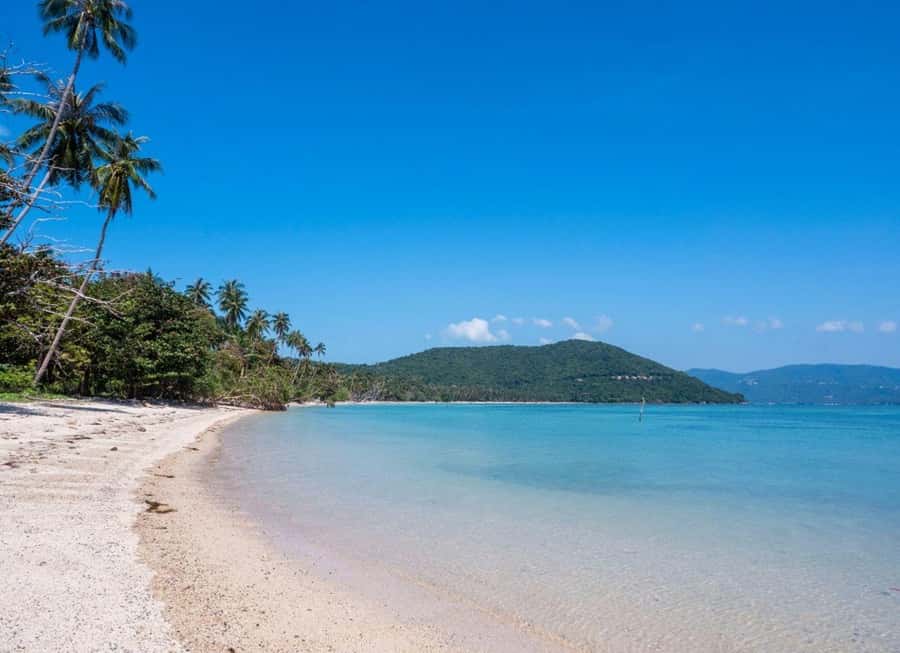 Ko Samui: Private Longtail Boat Tour to Koh Madsum & Koh Tan - Two islands, one lively half-day