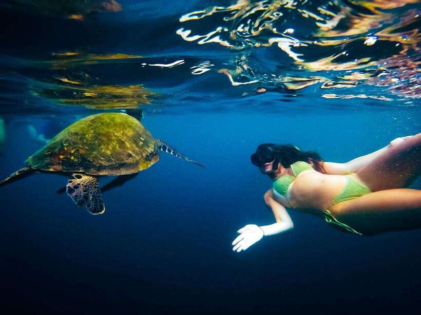Ko Tao: Late Riser Snorkeling Tour with Lunch and Photos - What to pack for a long day in the sun