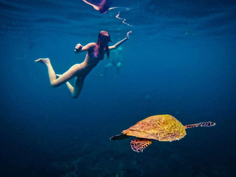 Ko Tao: Late Riser Snorkeling Tour with Lunch and Photos - Mango Bay: the easiest water for families