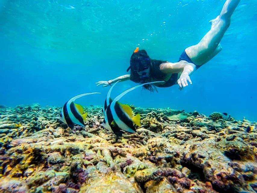 Ko Tao: Tao-Nangyuan Snorkeling Day Trip with Meals & Sunset - Underwater photos without another fee