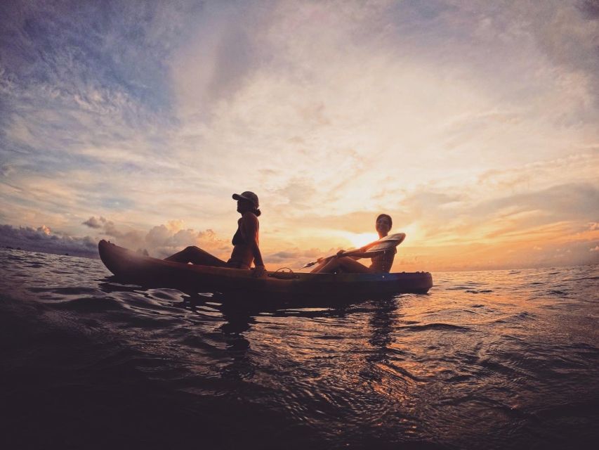 Ko Tao: Tao-Nangyuan Snorkeling Day Trip with Meals & Sunset - Shark Bay and the day’s biggest wildlife moment