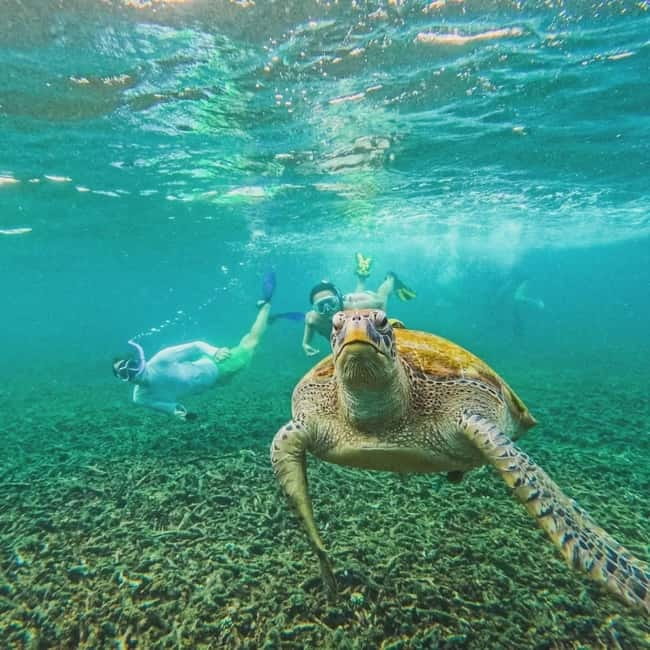 Ko Tao: Tao-Nangyuan Snorkeling Day Trip with Meals & Sunset - Food, drinks, and the sunset return