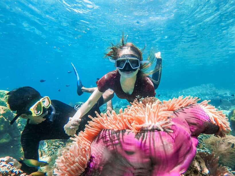 Koh Chang: 3 or 4 Islands Snorkel & Beach Tour by Big Boat - Koh Yak Lek, Koh Mapring, and Koh Yak Yai