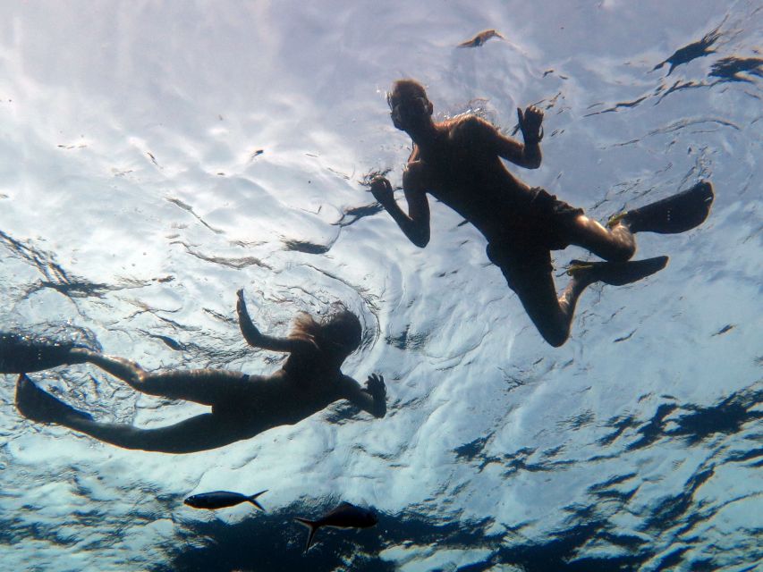 Koh Chang: Half-Day Snorkeling Adventure on a Speedboat - Lunch and a small island break