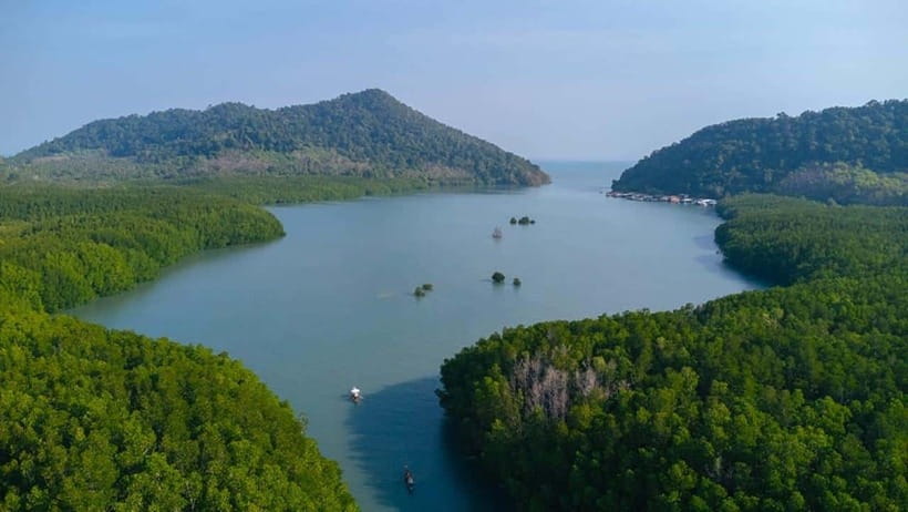 Koh Chang: Mangrove Forest Gondola Tour - Key points about the Salak Khok gondola ride