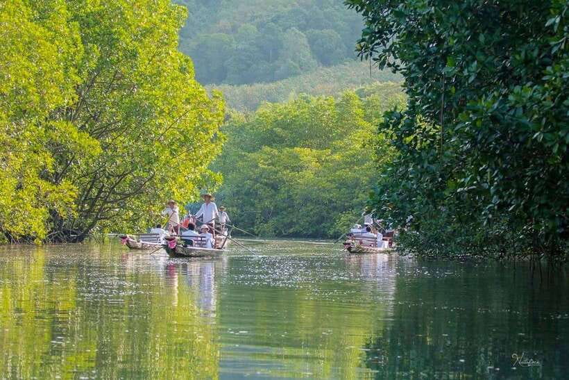 Koh Chang: Mangrove Forest Gondola Tour - What the 40-minute gondola ride feels like