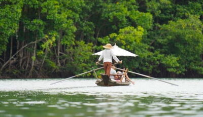 Mangrove Forest Gondola Tour