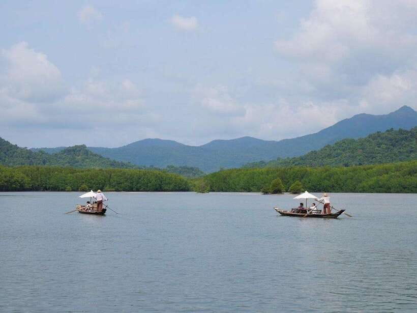 Koh Chang: Mangrove Forest Gondola Tour - Private boat size and value at $33