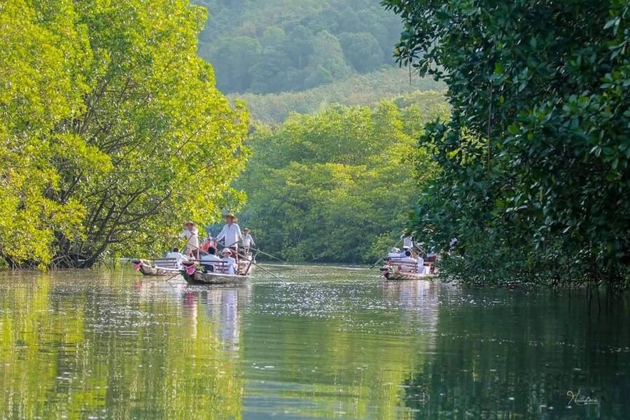 Koh Chang: Mangrove Forest Gondola Tour - Weather, comfort, and what to bring