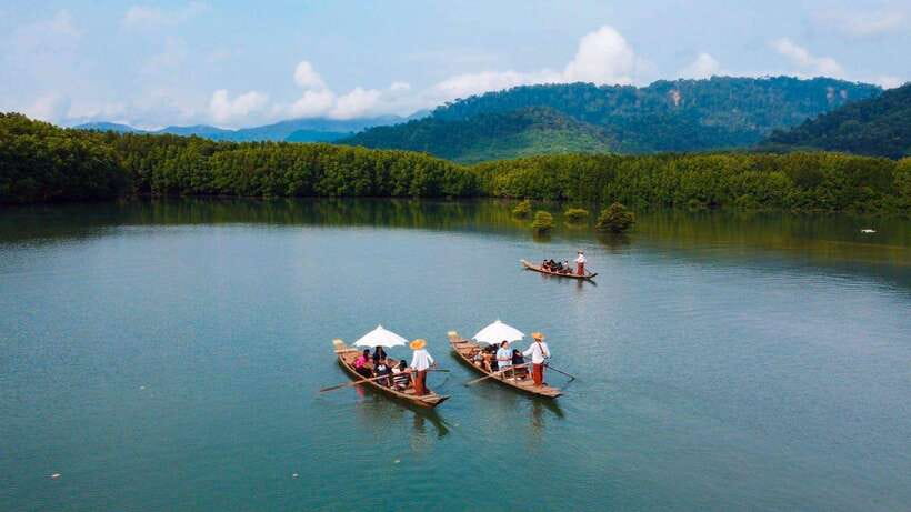Koh Chang: Mangrove Forest Gondola Tour - What the feedback tells me about the experience