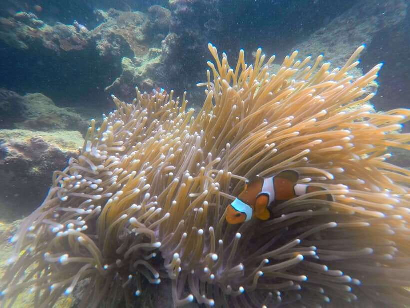 Koh Lanta: 4-Island Adventure Tour to Emerald Cave - Booking advice and final call