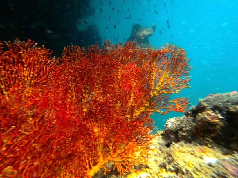 Koh Lanta: 4 Islands and Emerald Cave Snorkeling Trip - Why Emerald Cave makes this Koh Lanta trip special