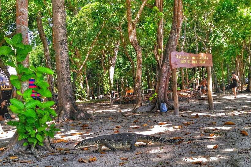 Koh Lanta: Adventure Sea Tour to Koh Rok and Koh Haa - The beach walk and Pha Samed Daeng viewpoint