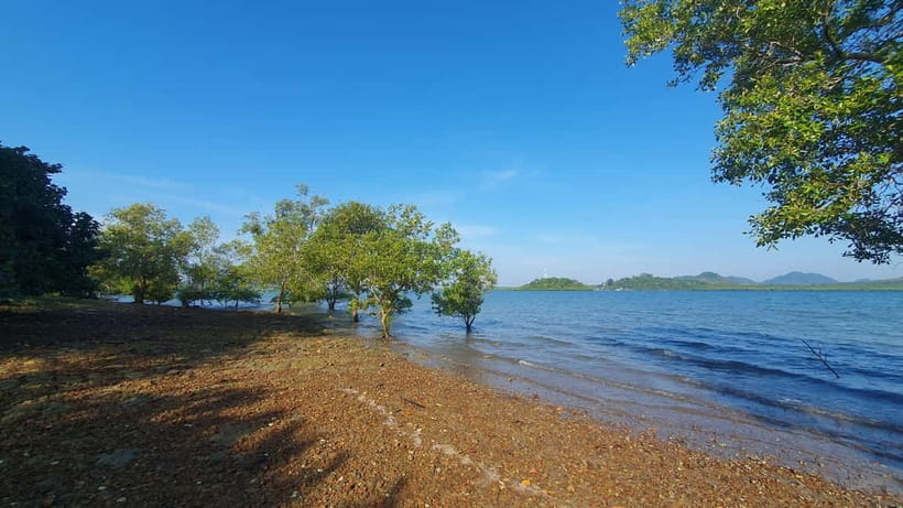 Koh Lanta Cultural Tuk-Tuk Tour: Old Town, Batik & Mangroves - Koh Lanta Old Town and its wooden waterfront