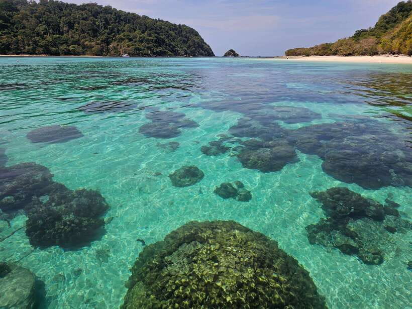 Koh Lanta: Koh Rok and Koh Haa Snorkeling Adventure - Who should choose this Koh Lanta boat trip