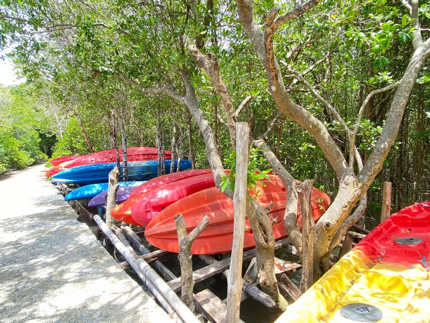 Koh Lanta:Mangrove + Elephant Camp Half Day Tour - Thung Yee Peng by longtail boat