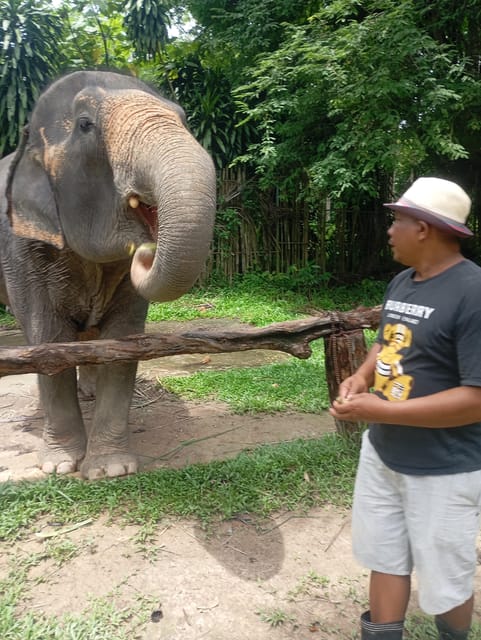Koh Lanta:Mangrove + Elephant Camp Half Day Tour - Is four hours the right length?