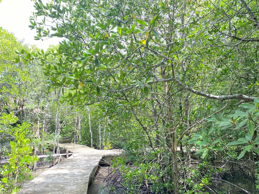 Koh Lanta:Mangrove + Elephant Camp Half Day Tour - What the $57 price includes