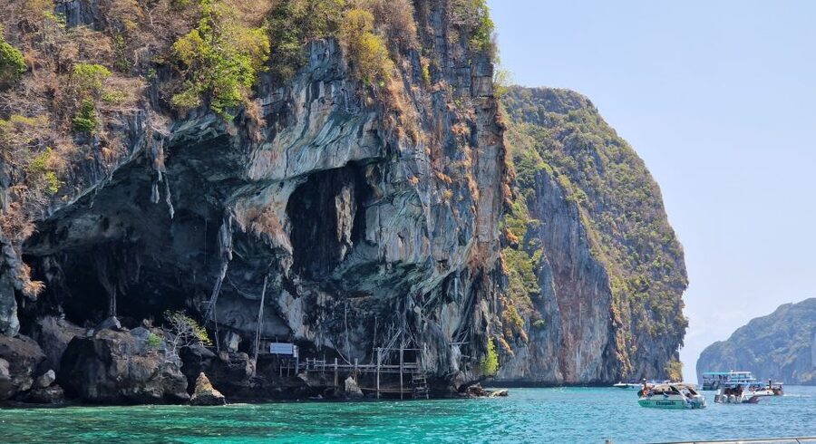 Koh Lanta: Phi Phi Islands Tour w/ Maya Bay, Snorkel & Lunch - Snorkeling among fish and coral