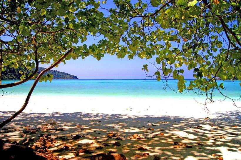 Koh Lipe: 5 Island Snorkeling Trip by Longtail Boat w/ Lunch - Jabang: colorful soft coral and the busiest water