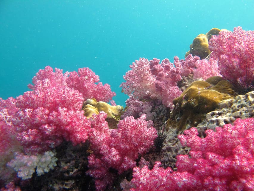 Koh Lipe: 5 Island Snorkeling Trip by Longtail Boat w/ Lunch - Hin Ngam: polished black stones and a short walk
