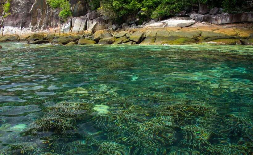 Koh Lipe: 5 Island Snorkeling Trip by Longtail Boat w/ Lunch - Koh Rawi: the best place to slow down for lunch