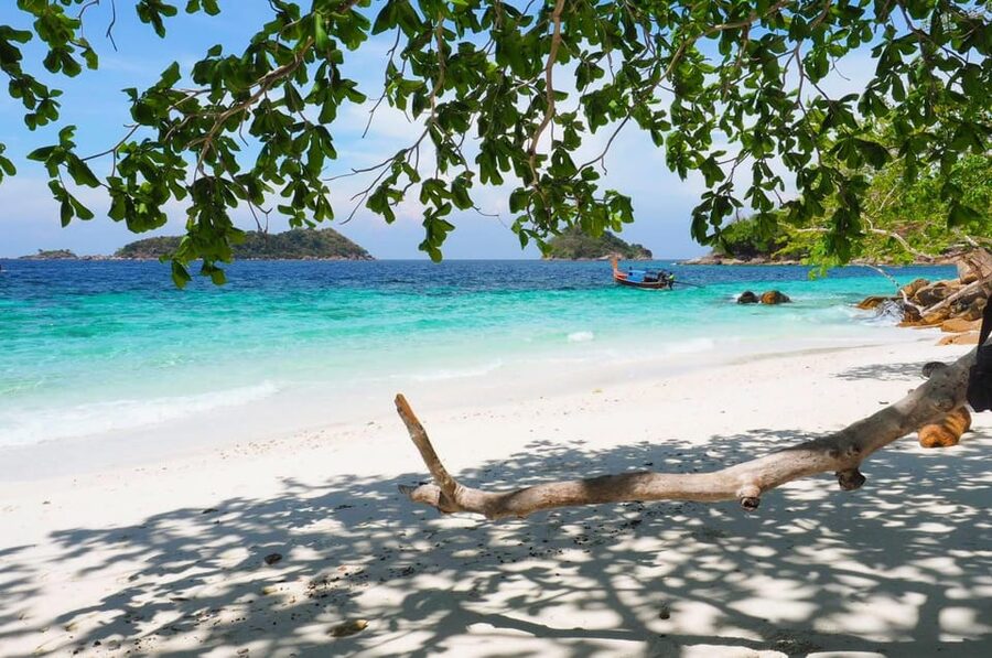 Koh Lipe: 7 Island Snorkeling Trip by Longtail Boat w/ Lunch - Lunch and monkeys at Monkey Beach