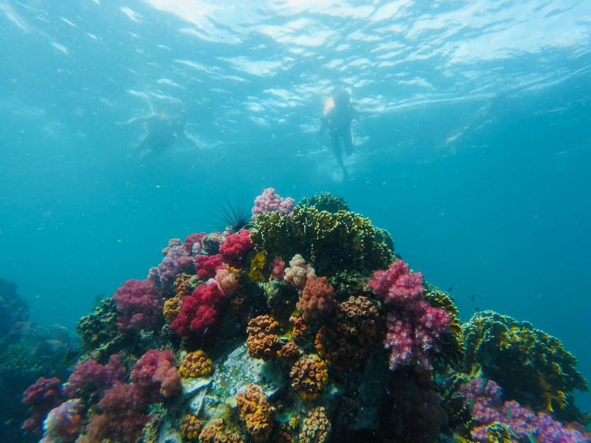 Koh Lipe: 7 Island Snorkeling Trip by Longtail Boat w/ Lunch - Jabang and the final snorkel