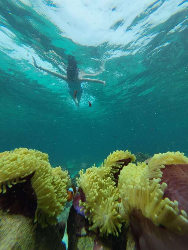 Koh Lipe: Half-Day Snorkeling (Morning/Afternoon/Sunset) - Hin Ngam Island’s black-stone beach