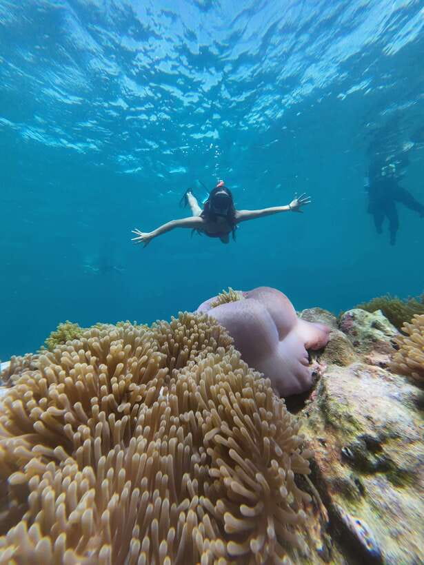Koh Lipe: Half-Day Snorkeling (Morning/Afternoon/Sunset) - Koh Yang and Koh Rawi on the morning route