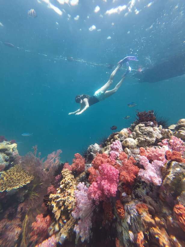 Koh Lipe: Half-Day Snorkeling (Morning/Afternoon/Sunset) - GoPro photos are a useful extra