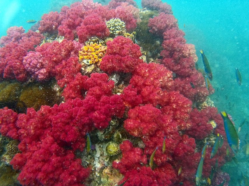 Koh Lipe Snorkeling Trip 6 hours Trip1 - Rawi Island brings white sand and a proper pause