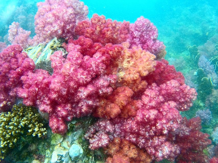 Koh Lipe Snorkeling Trip 6 hours Trip1 - Sai Sai Bay on Koh Adang adds beach time