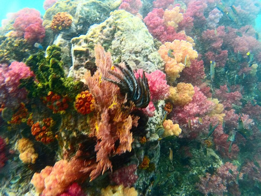 Koh Lipe Snorkeling Trip 6 hours Trip1 - The longtail boat is part of the bargain