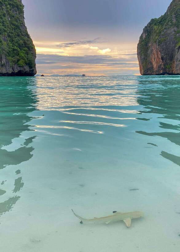 Koh Phi Phi: Maya Bay Private Longtail Boat Tour - Meeting near the pier at Blue Flow Travel