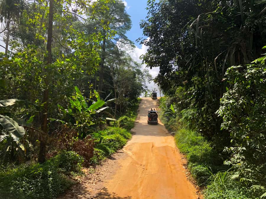 Koh Samui: 4x4 Off Road Island Safari Tour Including Lunch - Seeing coconut and rubber work up close