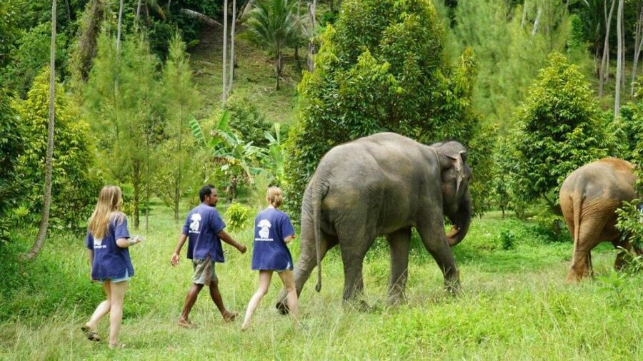 Koh Samui: 4x4 Sightseeing Safari & Elephant Sanctuary Tour - Hotel pickup and the open-air 4x4 ride