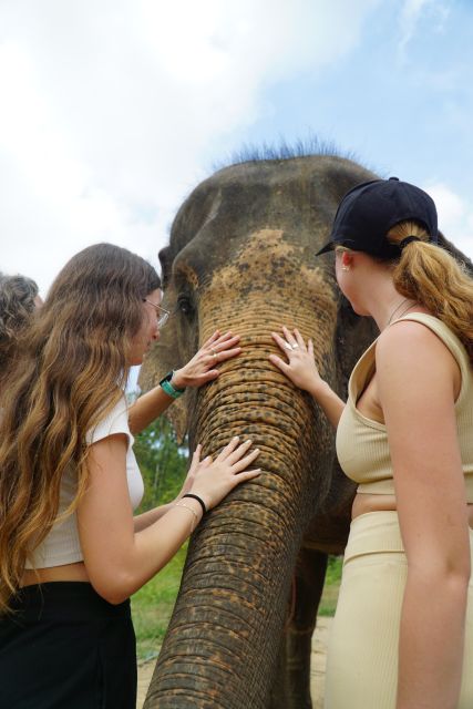 Koh Samui: 4x4 Sightseeing Safari & Elephant Sanctuary Tour - The elephant sanctuary visit
