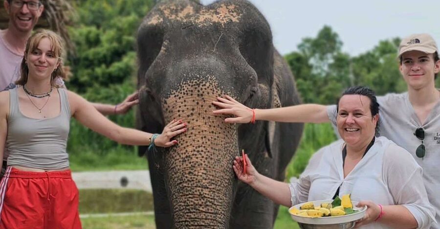 Koh Samui: Elephant Sanctuary and Jungle Tour with Lunch - Guides, vehicles, and group size