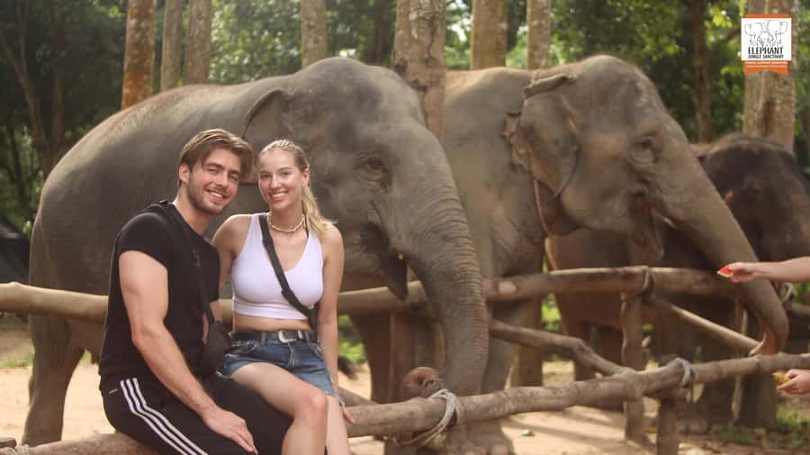 Koh Samui: Elephant Sanctuary Entry and Feeding Experience - Feeding time is the real highlight
