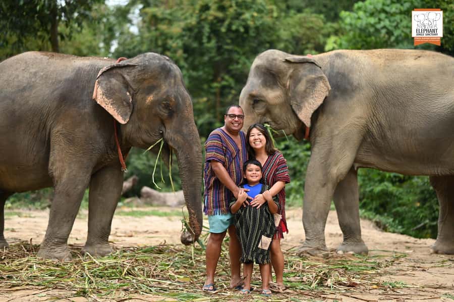 Koh Samui: Elephant Sanctuary Entry and Feeding Experience - What happens during the one-hour visit