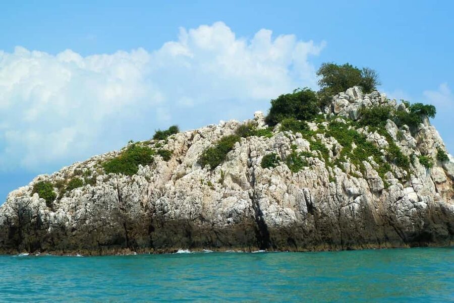 Koh Samui: Fishing Day Tour by Escort Boat with Mr. Tu - Key Points