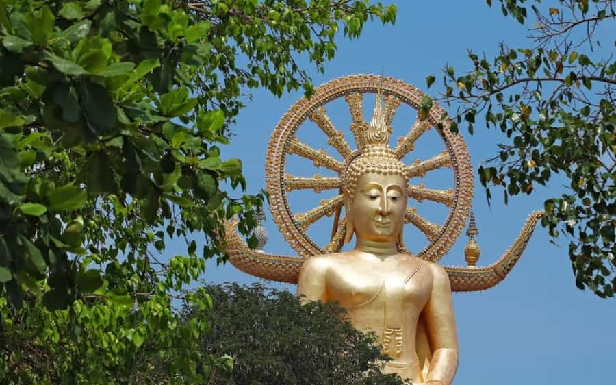 Koh Samui: Half-Day Highlights Tour with Hotel Transfers - Hin Ta and Hin Yai Rocks, island folklore in stone