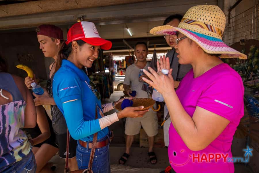 Koh Samui: Half-Day Island Highlights Tour with Hotel Pickup - Lad Koh Viewpoint over Chaweng Noi