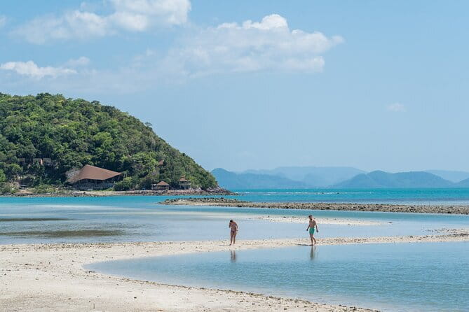 Koh Samui: Island Hopping Adventure in Coral and Pig Island - From Thong Krut Pier to Koh Madsum