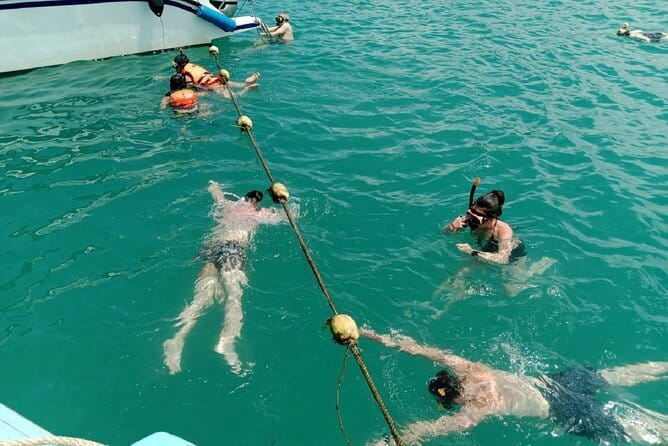 Koh Samui: Island Hopping Adventure in Coral and Pig Island - Meeting the wild pigs of Koh Madsum