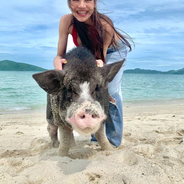 Koh Samui: Pig Island & Koh Tan Snorkeling by Speed boat - Koh Tan lunch gives the day a welcome pause